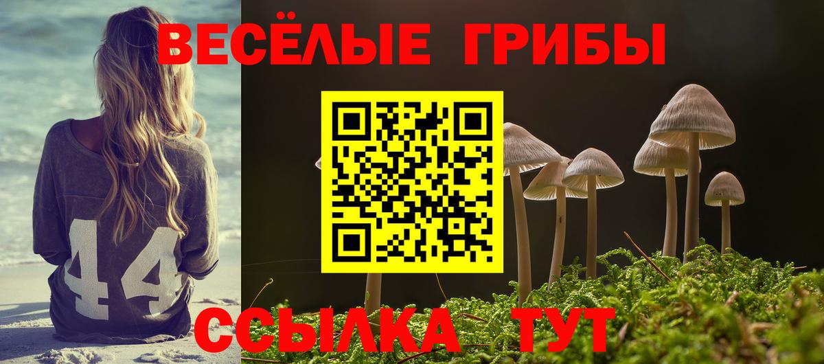 Туймазы  Псилоцибиновые грибы прущие грибы  Вход с VPN 